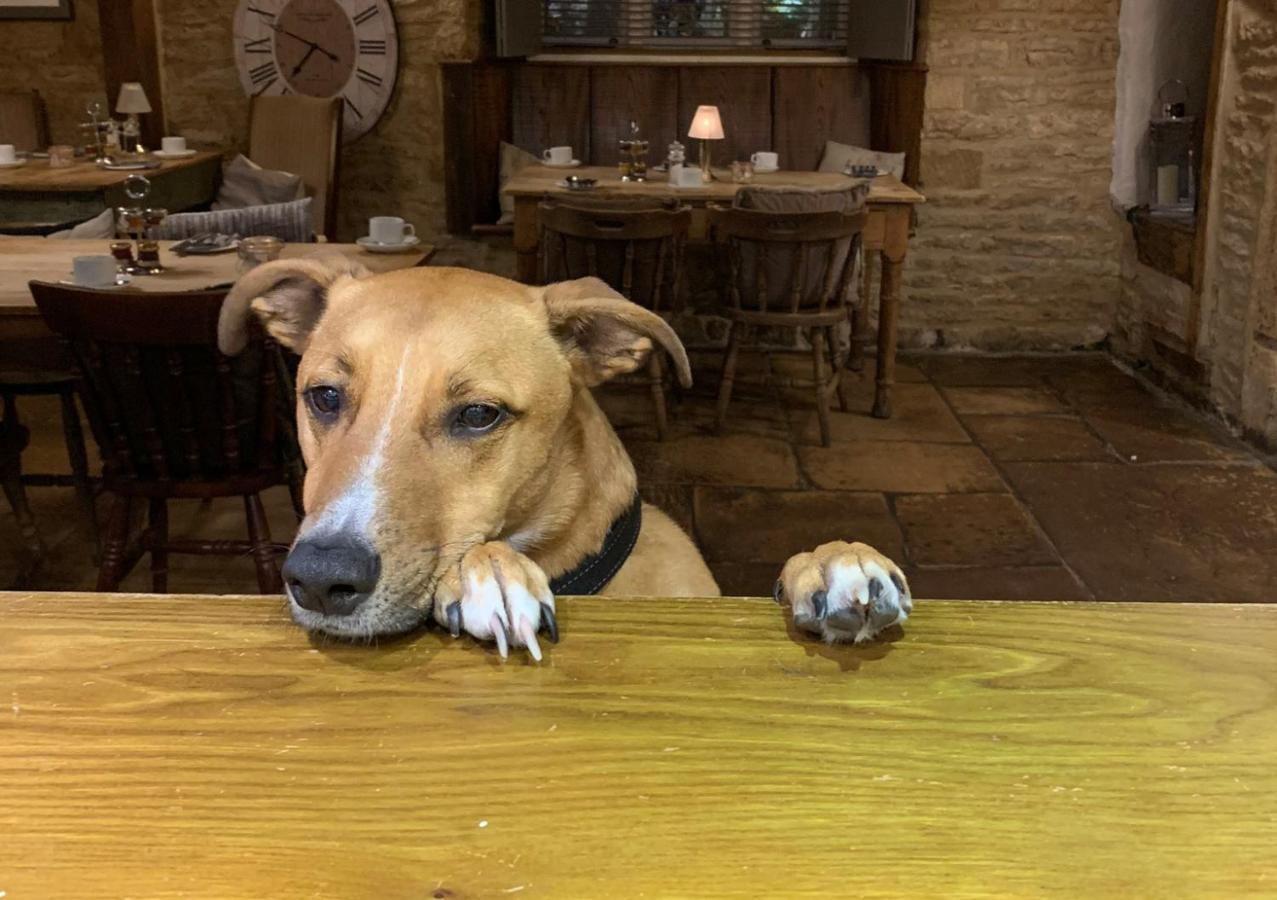 The Horse & Groom Stow-on-the-Wold Ngoại thất bức ảnh